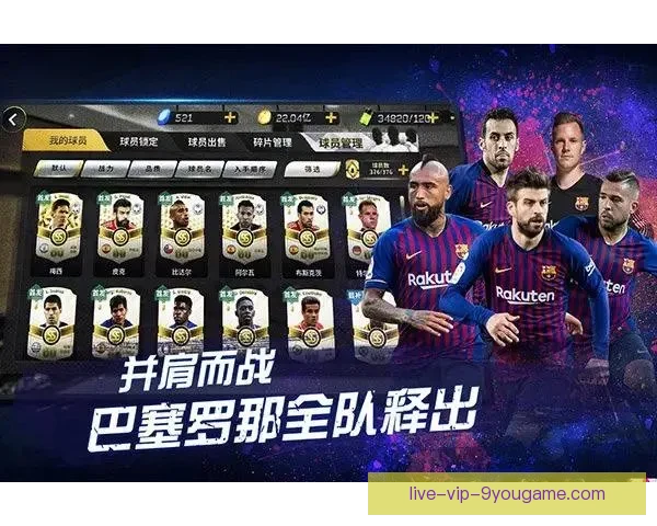 足球比赛回放在哪看最全平台与高清资源获取指南最新详解方法大全 足球比赛回放在哪看最全平台与高清资源获取指南最新详解方法大全